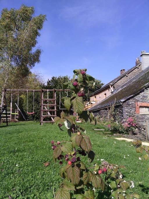 Gite Les 7 Frenes Vaux-sur-Sure Εξωτερικό φωτογραφία